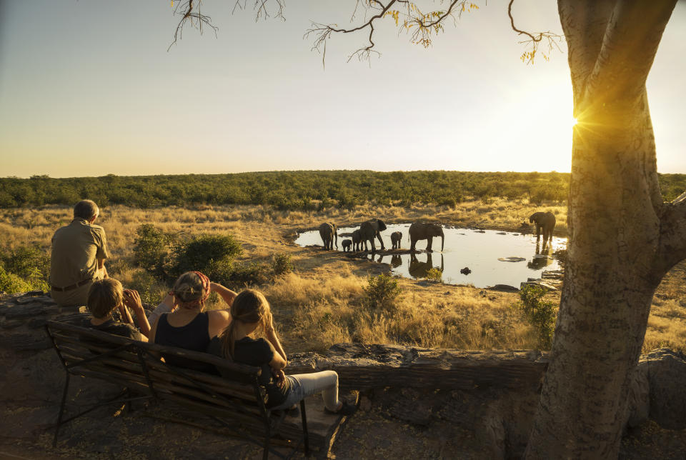 Namibie  (Crédit : Getty Images)