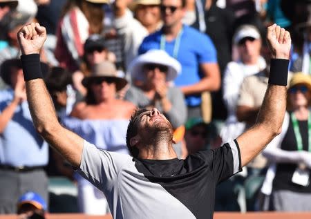 Mar 18, 2018; Indian Wells, CA, USA; Juan Martin Del Potro celebrates after defeating Roger Federer (not pictured) in the men's finals in the BNP Paribas Open at the Indian Wells Tennis Garden. Mandatory Credit: Jayne Kamin-Oncea-USA TODAY Sports