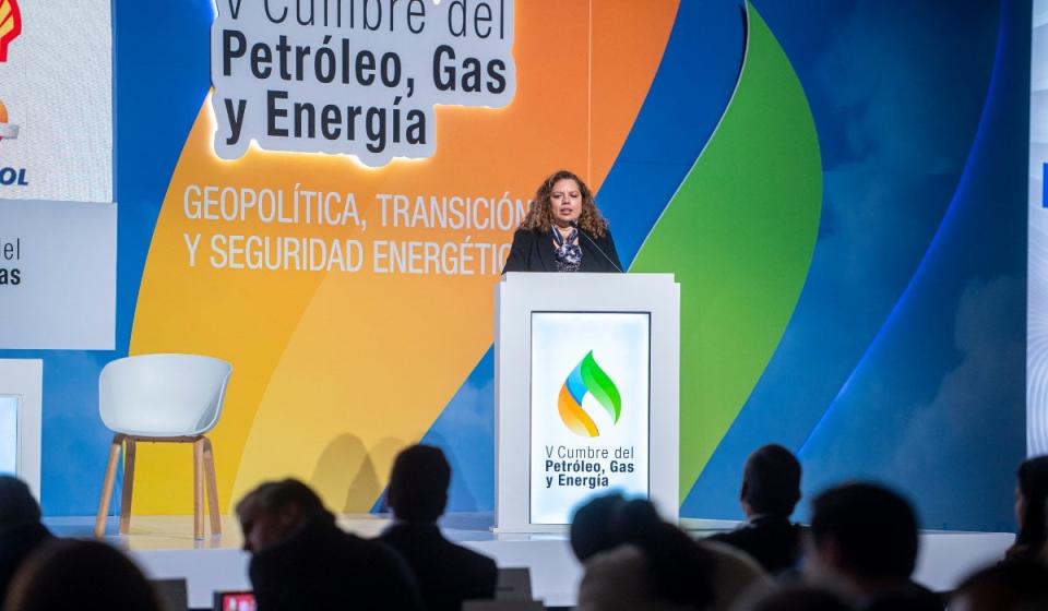 Sandra Vilardy, viceministra de Políticas de Normalización Ambiental del Ministerio de Ambiente, en la V Cumbre de Petróleo, gas y Energía