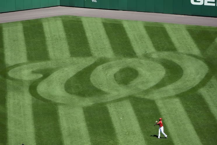 The Gulf Coast League Nationals had everything working Sunday. (AP Photo)