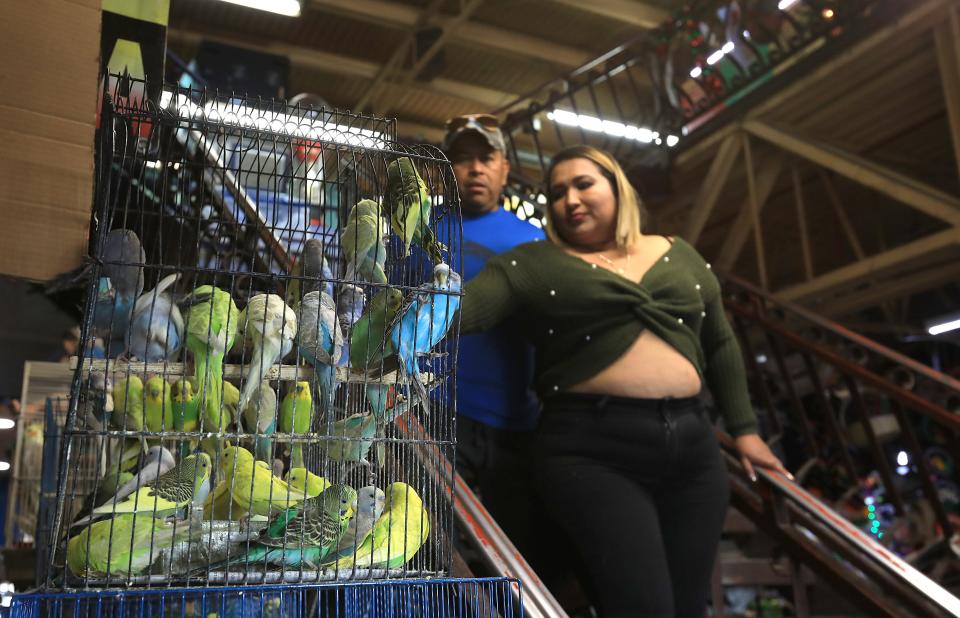 In Mercado Cuauhtémoc in Juárez, shoppers can find items from old Mexico such as artisanal goods, herbs, nativity scenes, flowers and birds - items that are not sold in malls.