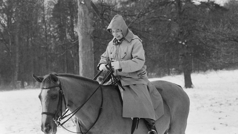 Horse rides in the snow