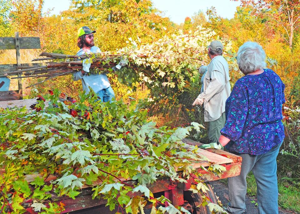 Volunteers David Graham, Brenda Meese, and Jean Rochester load saplings removed from Barnes Preserve onto a trailer for disposal. Park officials said the trees would eventually overtake the meadow if not cleared.