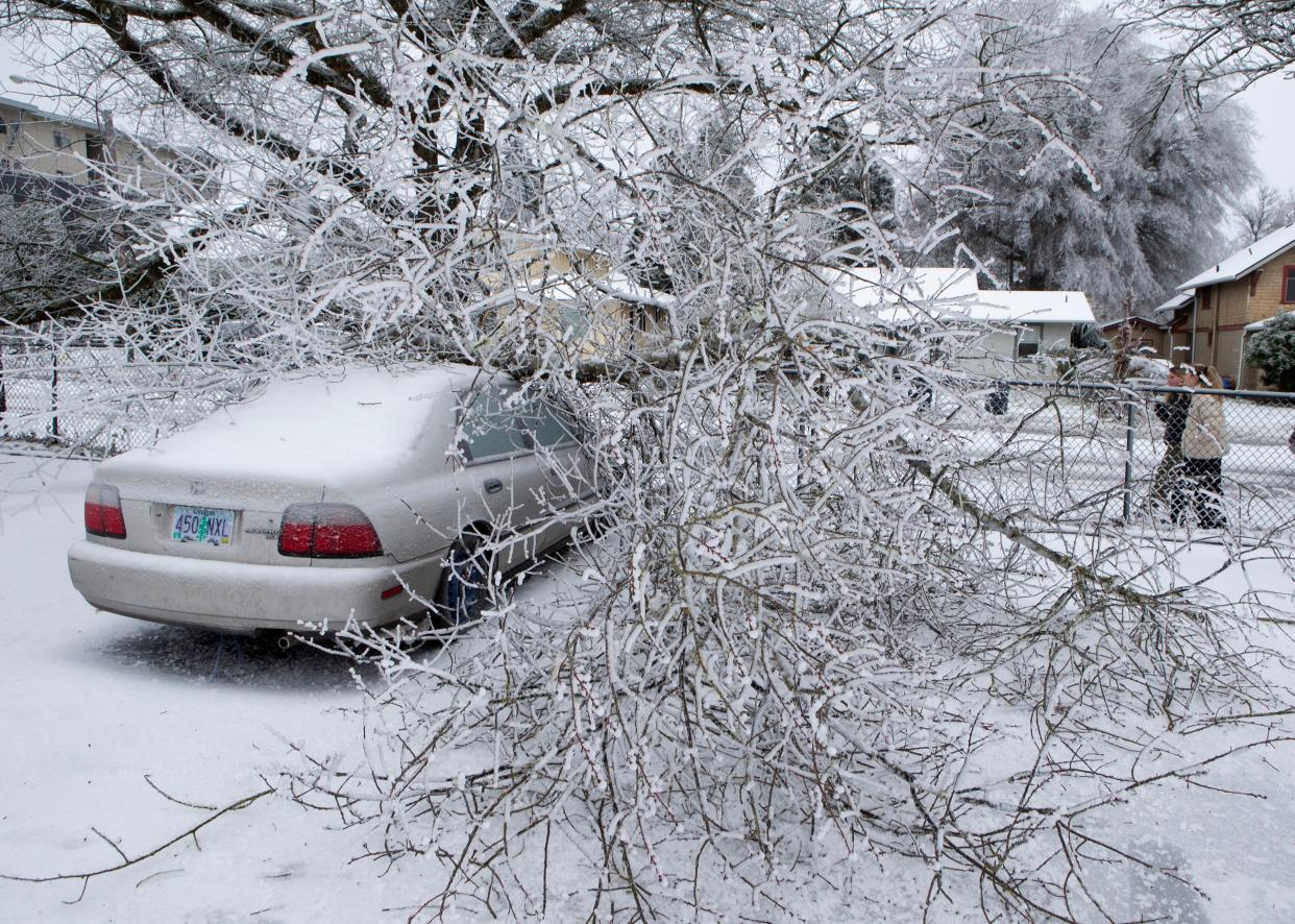 An ice covered tree limb lays across a car along E 18th Avenue in Eugene Sunday, Jan. 14, 2024.