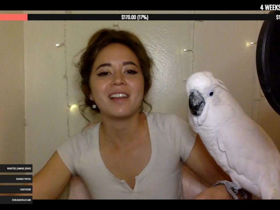 maya higa bird clip reddit