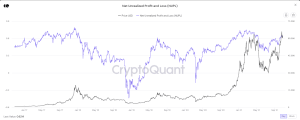 Bitcoin BTC net unrealised profit loss analysis price