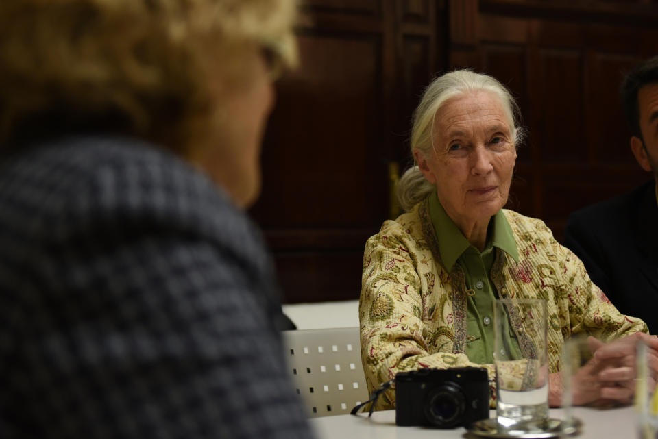 British primatologist Jane Goodall, 82, still travels the world with the objective of educating others about the ecosystem, biodiversity and sustainability. The British primatologist, ethologist, anthropologist and U.N. Messenger of Peace, is best known for her 45-year study of social and family interactions of wild chimpanzees in Gombe Stream National Park, Tanzania.