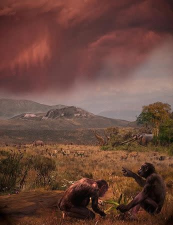 The species Graecopithecus freybergi, which lived 7.2 million years ago in the savannah of the Athens Basin, is shown in this artist's depiction, at the place of discovery, Pyrgos Vassilissis, as Mount Hymettos and Mount Lykabettos are shown in the background in this handout provided May 19, 2017. Courtesy of Velizar Simeonovski/Handout via REUTERS