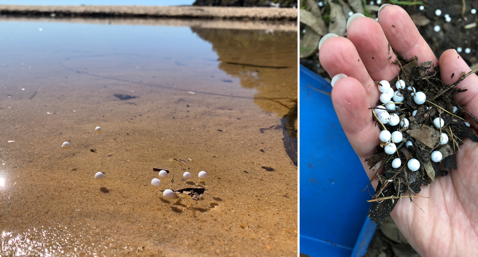 Polystyrene balls floating in an estuary, a hand holding polystyrene balls and dirt