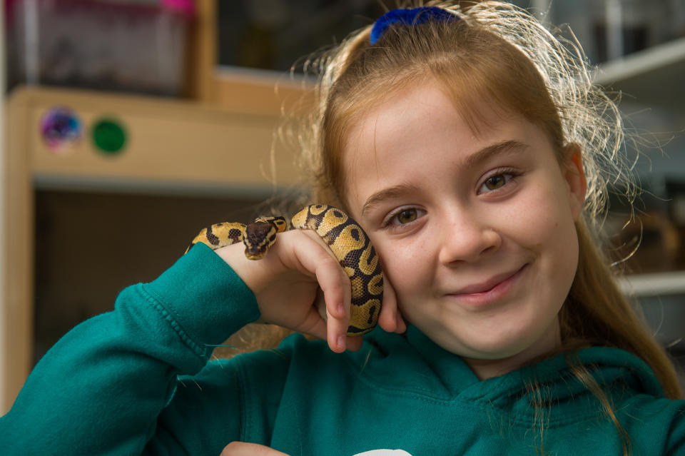 Meet the eight-year-old conservationist who loves spiders so much that she shares her bedroom - with more than 50 of them. Hollie Greenhalgh also keeps two snakes and a scorpion as well as enclosures full of millipedes, grasshoppers, cockroaches and snails in her own impressive mini zoo. The exotic pets are kept in separate enclosures and Hollie spends around three hours every weekend feeding them all. The youngster, who aspires to be the next David Attenborough, hosts her own educational YouTube channel which has more than 6,000 subscribers.