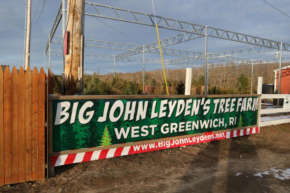 Big John Leyden's Tree Farm, in West Greenwich, features 100,000 trees in 10 varieties.