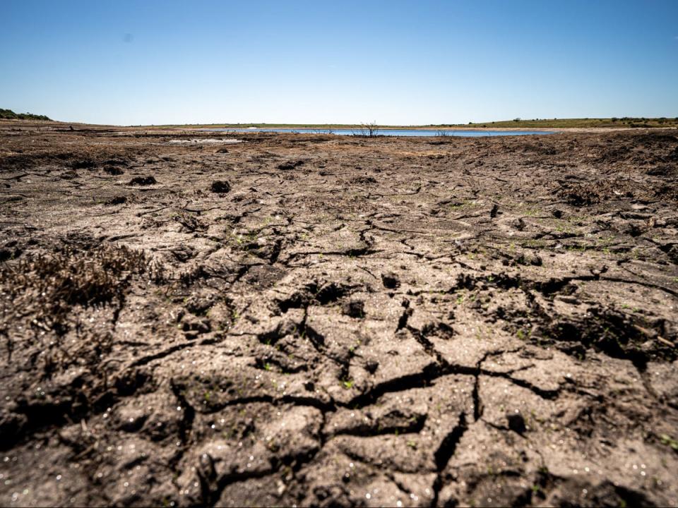 Cornwall is one of the areas where a drought has been declared in England (PA)