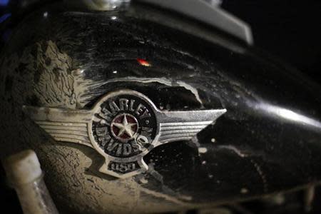 Harley Davidson logo is seen during the annual Harley Davidson National Rally in Qian Dao Lake, in Zhejiang Province May 11, 2013. REUTERS/Carlos Barria