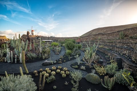 The Jardín de Cactus - Credit: Jeziel MartÃn