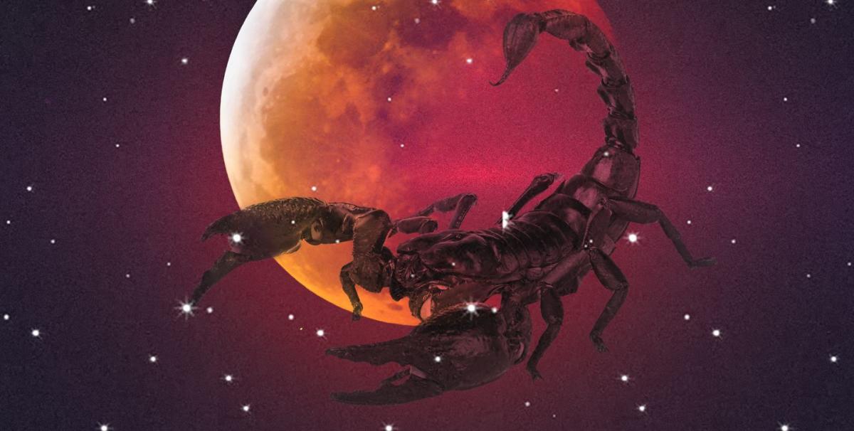 What May’s Scorpio Flower Moon Lunar Eclipse Means for Your Zodiac Sign