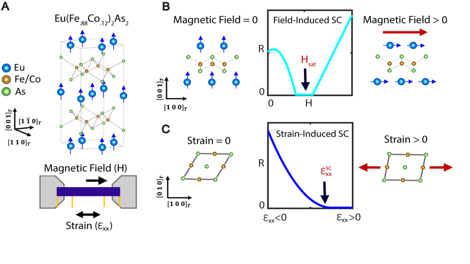 A descriptor of the superconducting processes.