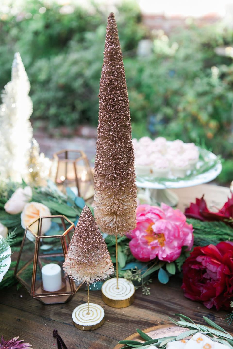 Bottle Brush Trees