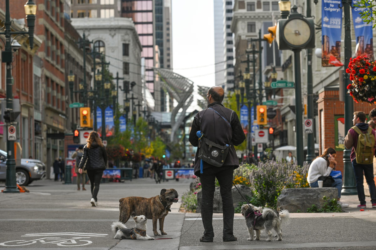 Canada’s startup market has hit ‘bottom,’ VC firm’s research says