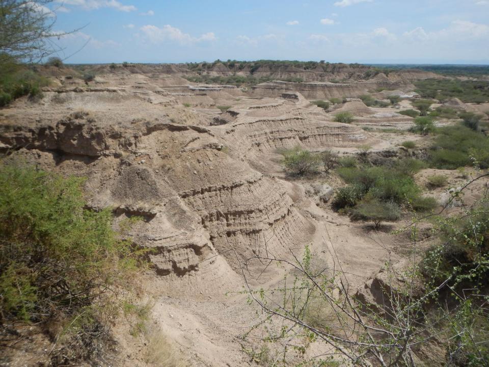 The remains of the Omo I from Ethiopia are among the oldest known fossils of Homo sapiens, about 30,000 years older than scientists thought, according to a paper published in Nature.