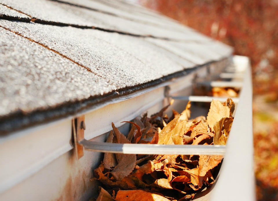 The 12 Fall Home Maintenance Tasks You Can't Ignore