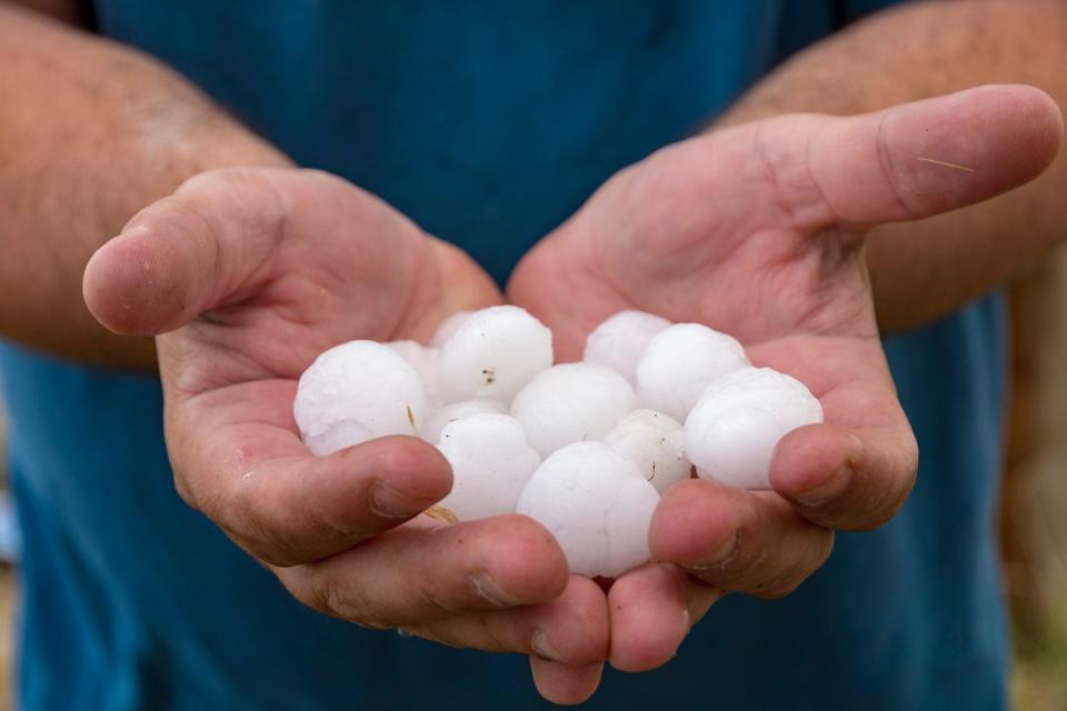 Two hands holding golf-ball-sizes hail.