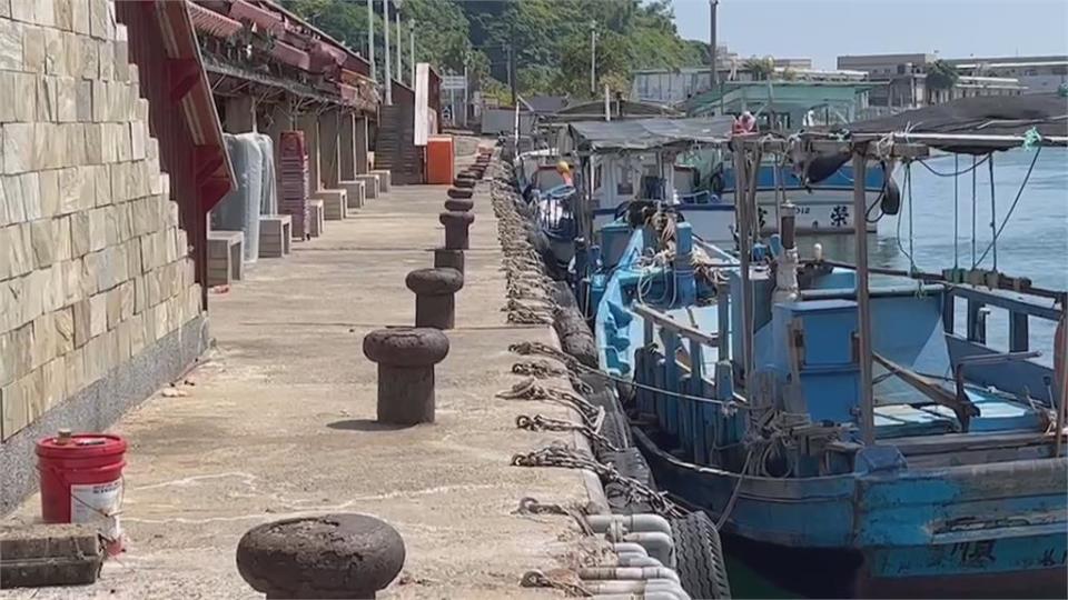 和平島青鱗魚群「暴動」！　夏天限定壯觀景象