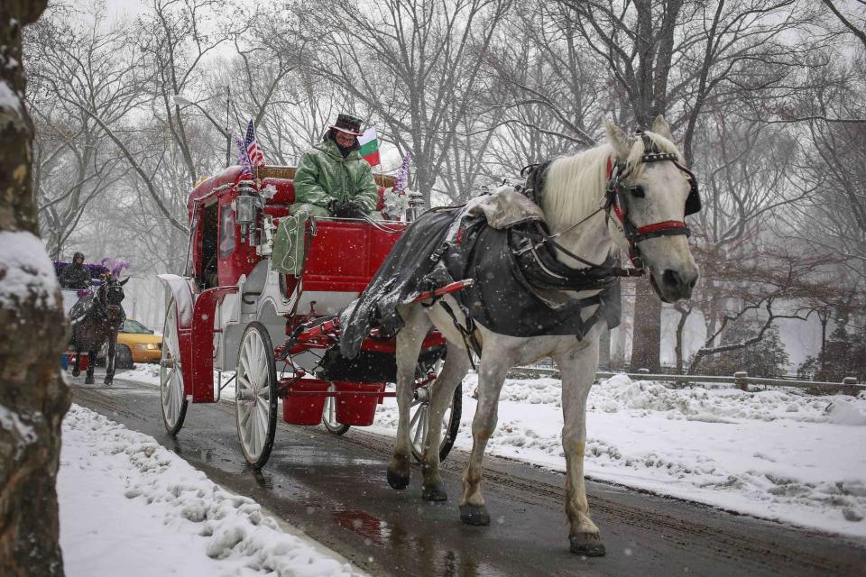 A horse-drawn carriage makes its way through Central Park during snowfall in New York, December 17, 2013. Several inches of snow was forecasted to fall across the northeast U.S. on Tuesday as winter storm warnings were put in place, said the National Weather Service, according to local reports. (REUTERS/Shannon Stapleton)