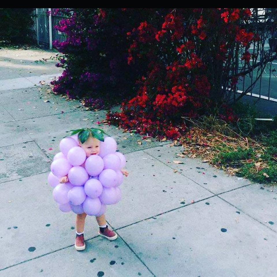 <p>Wie süüüß! Diese Verkleidung kann natürlich auch jeder Erwachsene tragen, aber wie niedlich ist sie bitte an diesem kleinen Fratz? Ein paar violette Luftballons zusammenknoten, ein paar Blätter auf dem Kopf platzieren und schon haben wir eine verdammt putzige Weinrebe. (Bild: Instagram.com/tang_stagram_)</p>