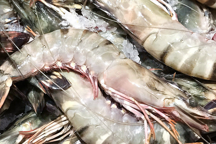 Fresh prawns (the shrimp in question) add the sweet 'top notes' to this congee.