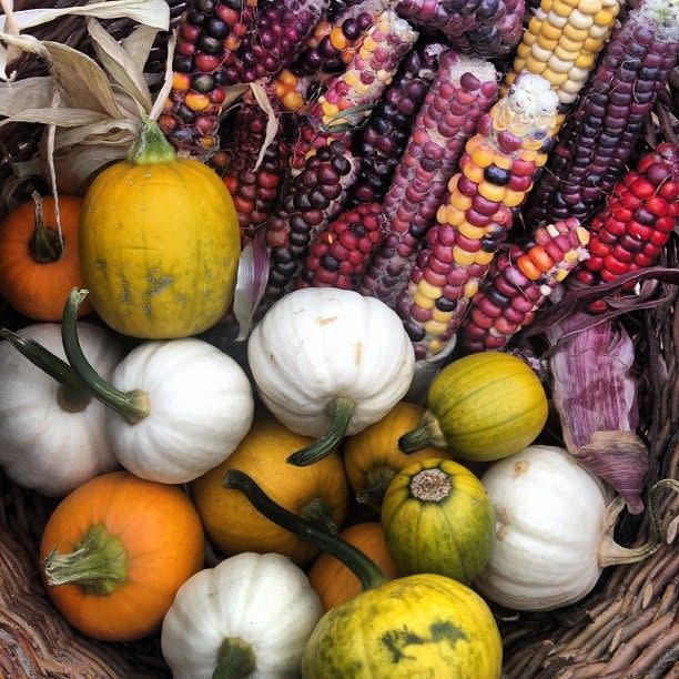 Alaska: Homer Farmers' Market