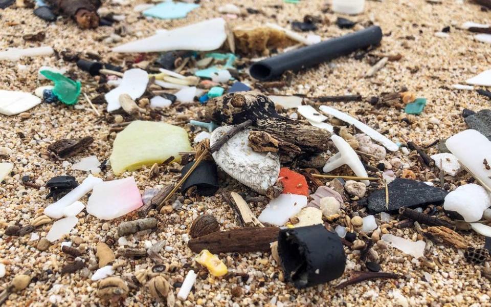 On a sticky-hot December day on the North Shore of Hawaii, thousands of fans gathered along the beach to watch their favorite surfers get barrelled in the pounding surf. The famed Pipeline break was firing that day, with waves mercilessly crashing on shore — but even the noise of the ocean was...