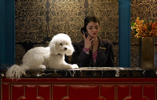 At many Kimpton hotels in the US, there’s a nightly wine reception which guests bring their pets to. Source: Kimpton