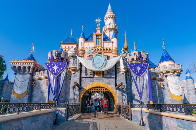 <p>AaronP/Bauer-Griffin/GC </p> Sleeping Beauty Castle at Disneyland