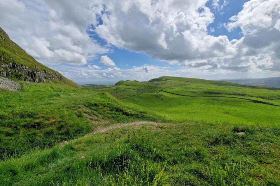 Bradford Telegraph and Argus: A sea of green can be seen for miles on this dog-friendly walk in the Yorkshire Dales