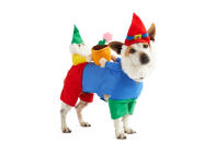 <p>An on-brand costume for pups who spend too much time digging up the garden. </p> <p><strong>Buy it!</strong> Gnome Sweet Gnome Dog Illusion Costume, $27.99; <a href="https://www.anrdoezrs.net/links/8029122/type/dlg/sid/PEO25HalloweenCostumesforDogsthatWillHaveTrickorTreatersHowlingwithJoykbender1271PetGal12909733202109I/https://www.petco.com/shop/en/petcostore/product/bootique-gnome-sweet-gnome-dog-illusion-costume-medium-3344749" rel="sponsored noopener" target="_blank" data-ylk="slk:Petco.com;elm:context_link;itc:0;sec:content-canvas" class="link ">Petco.com</a></p>