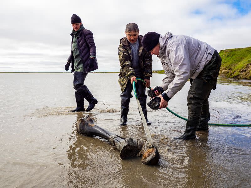 Specialists discover mammoth bones along the shore of Pechevalavato Lake in the Yamalo-Nenets autonomous distric