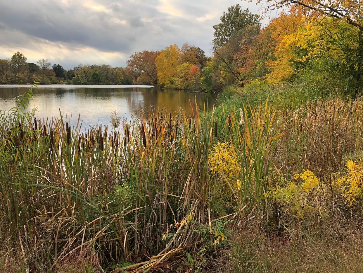 Fall colors appear by Saint Mary's Lake on Saturday, Oct. 21, 2023, on the University of Notre Dame campus.