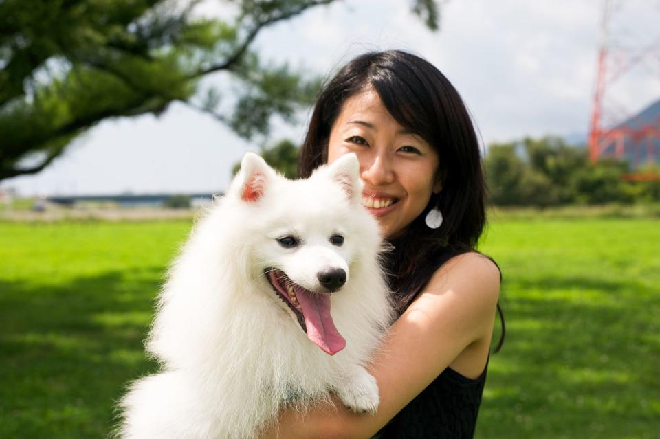 Japanese Spitz