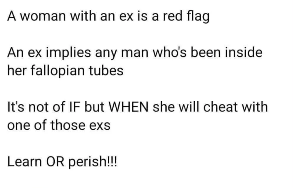 "A woman with an ex is a red flag / An ex implies any man who's been inside her fallopian tubes / It's not an IF but WHEN she will cheat with one of those exes"