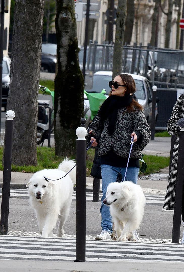 Portma sola en París, paseando a sus perros por los jardines del Campo de Marte a finales de enero 