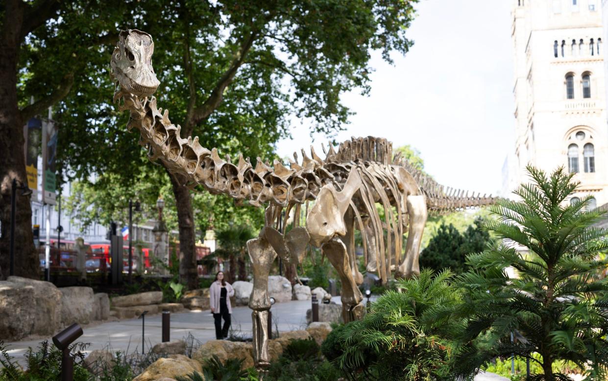 Fern, the bronze diplodocus that was unveiled outside the Natural History Museum