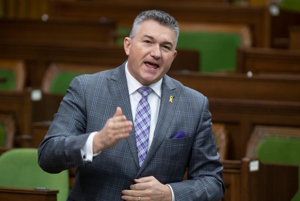 Conservative MP James Bezan rises during Question Period in the House of Commons Tuesday March 9, 2021 in Ottawa.