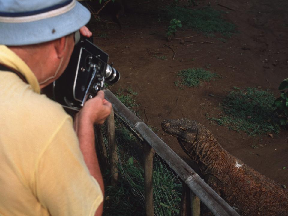 A tourist films a Komodo dragon.