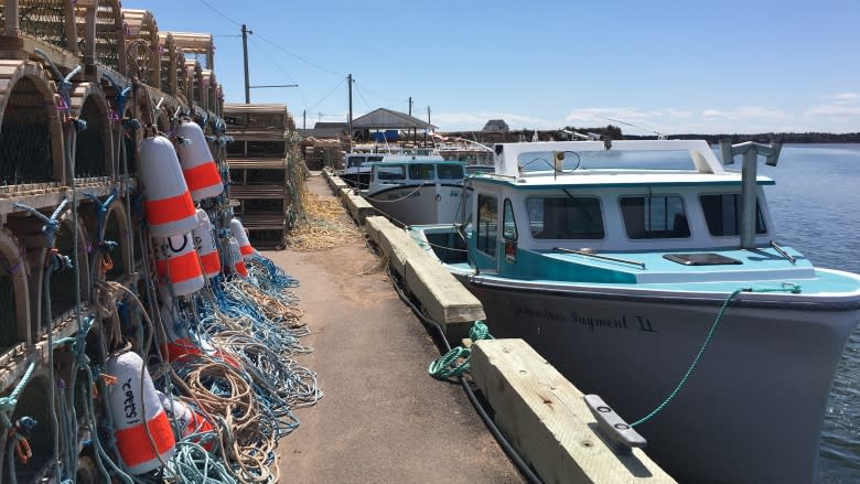 Mackerel fishery closed unexpectedly, leaving some fishermen short bait