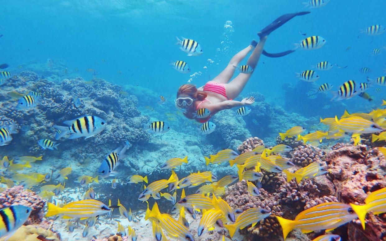 Snorkeling in the Seychelles - Lucy Martin