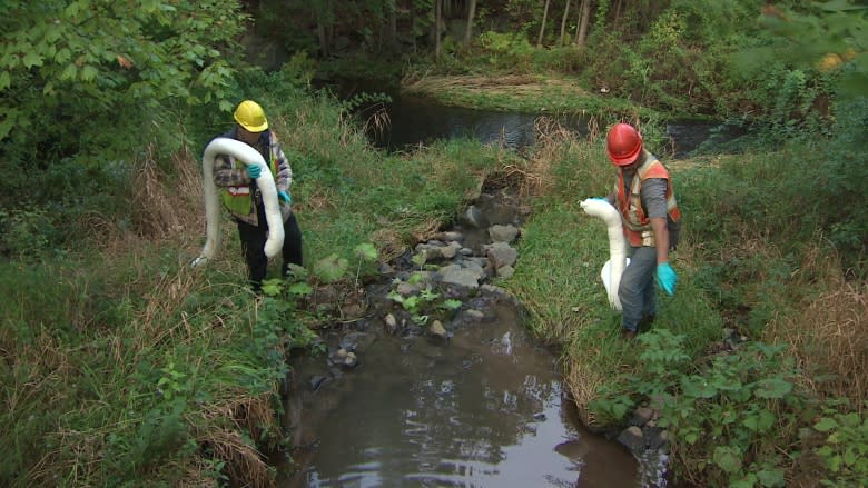 Leaking 750-litre tank causes Dartmouth oil spill