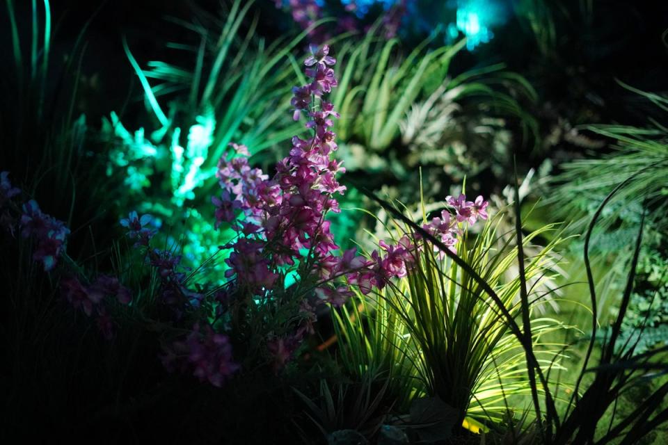 Plants at the unveiling of the underground garden in the Thames Tideway Tunnel (PA)