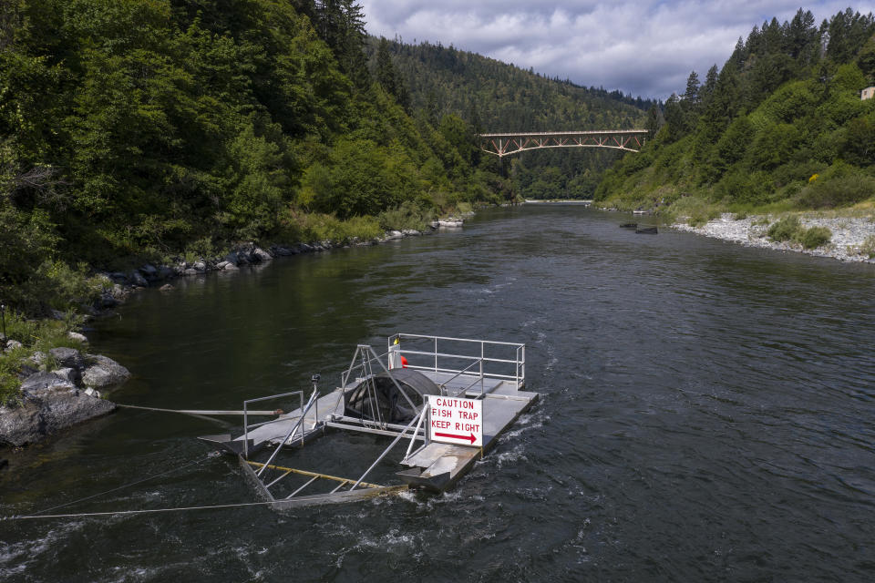 FILE - In this June 8, 2021, file photo, a fish trap used to catch and document the health of salmon floats in the lower Klamath River in Weitchpec, Calif. Baby salmon are dying by the thousands in one California river, and an entire run of endangered salmon could be wiped out in another. Fishermen who make their living off adult salmon, once they enter the Pacific Ocean, are sounding the alarm as blistering heat waves and extended drought in the U.S. West raise water temperatures and imperil fish from Idaho to California. (AP Photo/Nathan Howard, File)