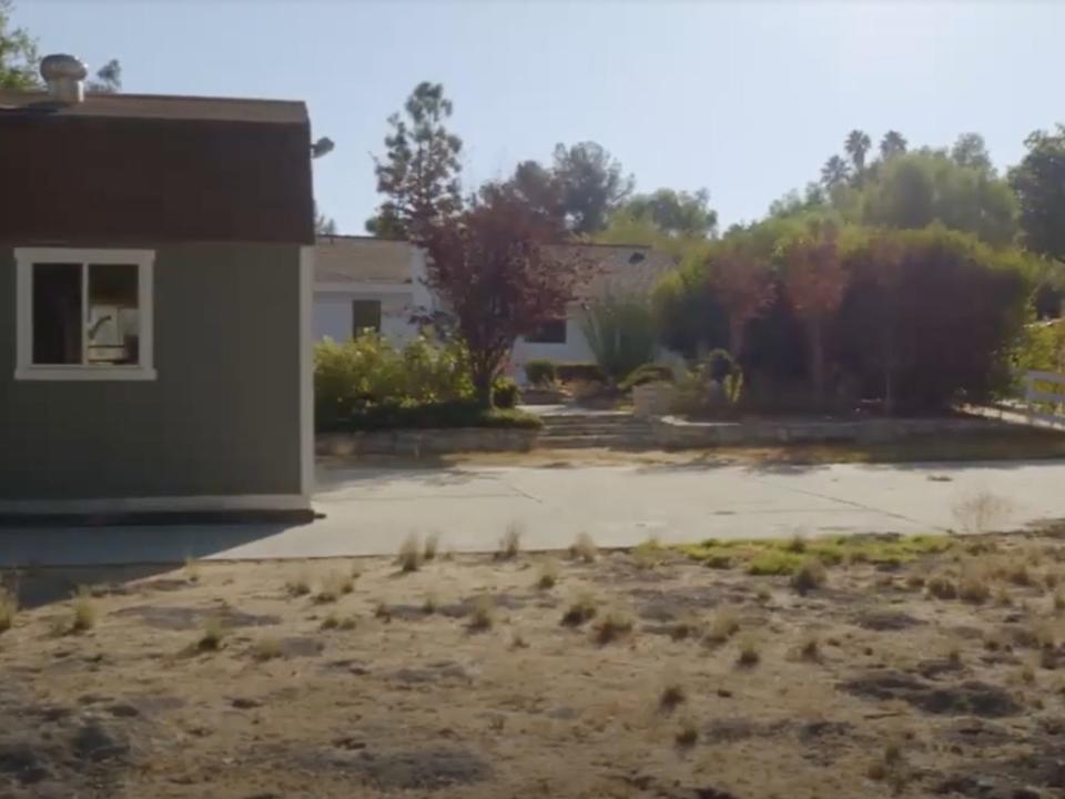 A rundown yard with a shed on the left side.