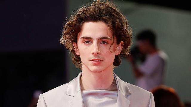 Timothée Chalamet Got a Haircut and I Need a Moment to Process It